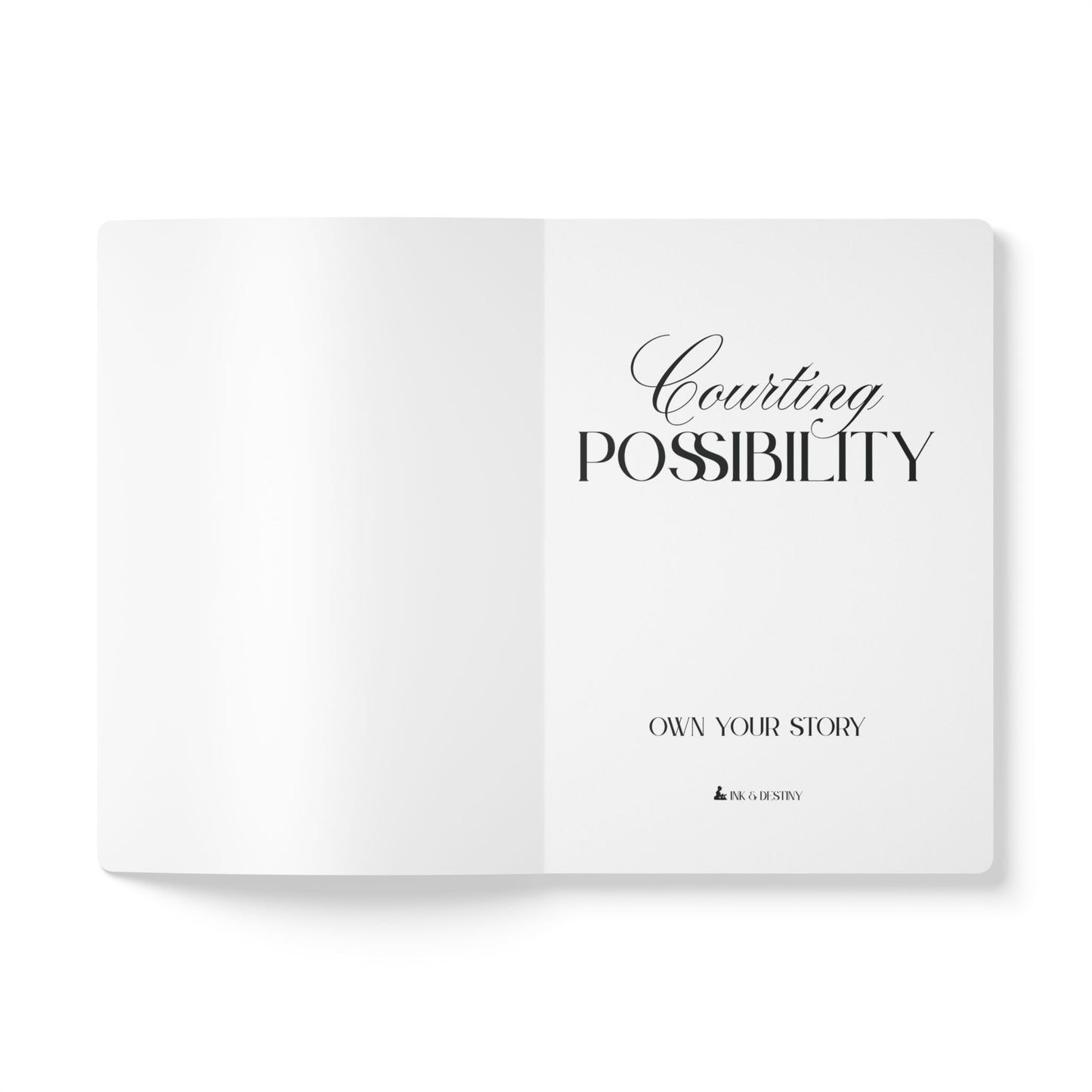 Courting Possibility